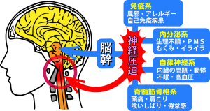 脳幹の流れが低下すると…