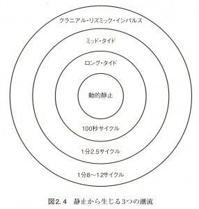 頭蓋リズムとクラニオセイクラル