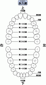 5:2:1の食生活