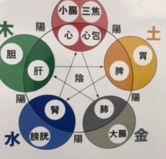 東洋医学陰陽五行