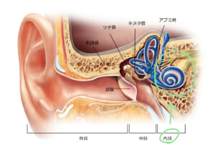 気象病と内耳